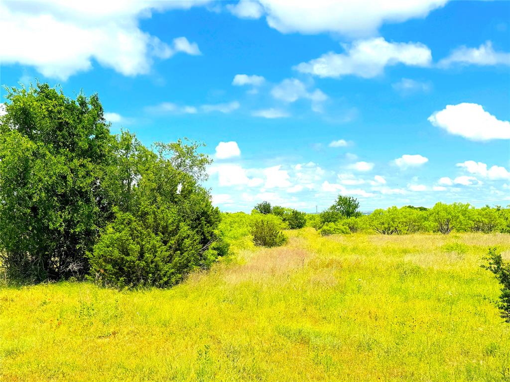 1020 Goodnight Trail - Photo 10
