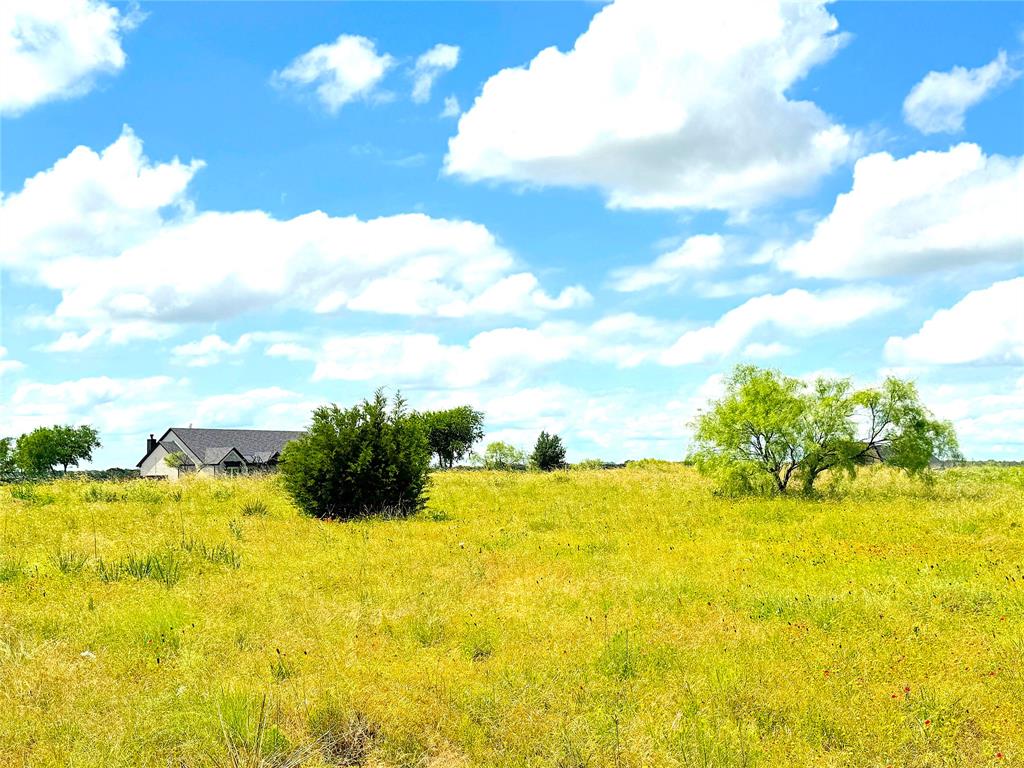 1020 Goodnight Trail - Photo 11
