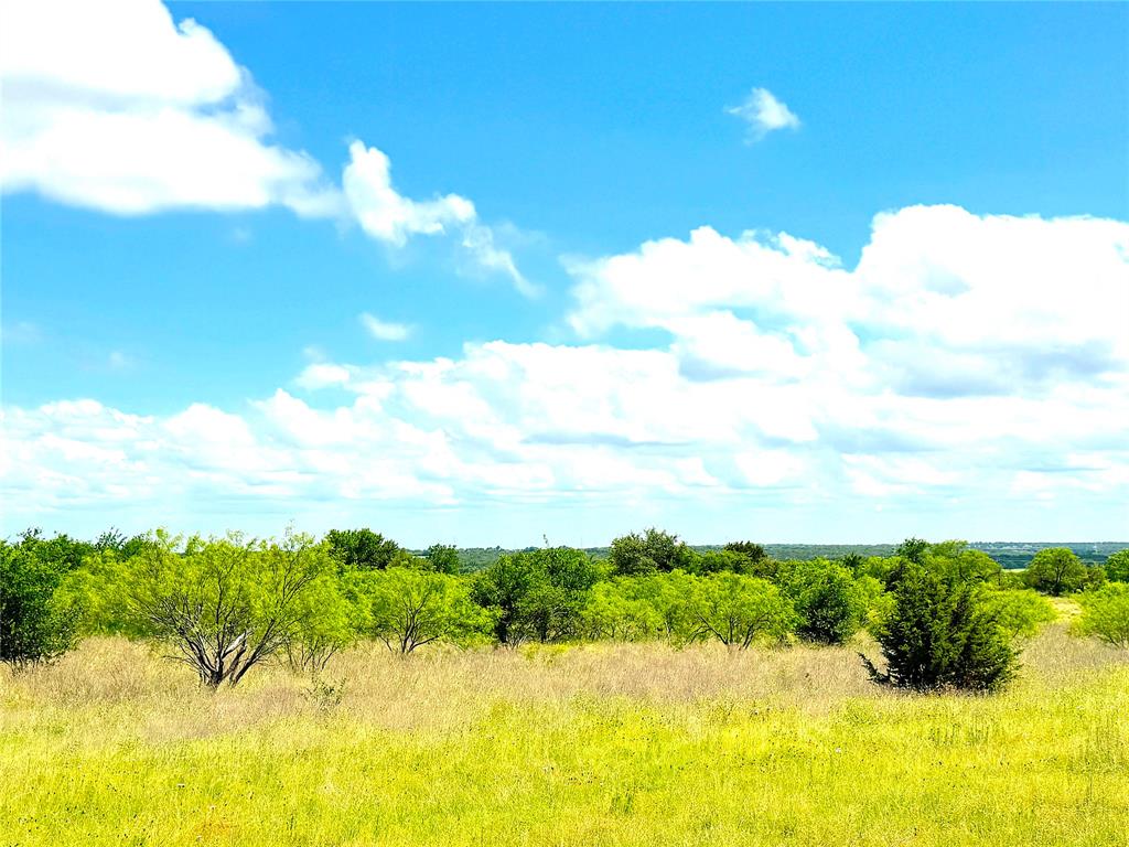 1020 Goodnight Trail - Photo 5