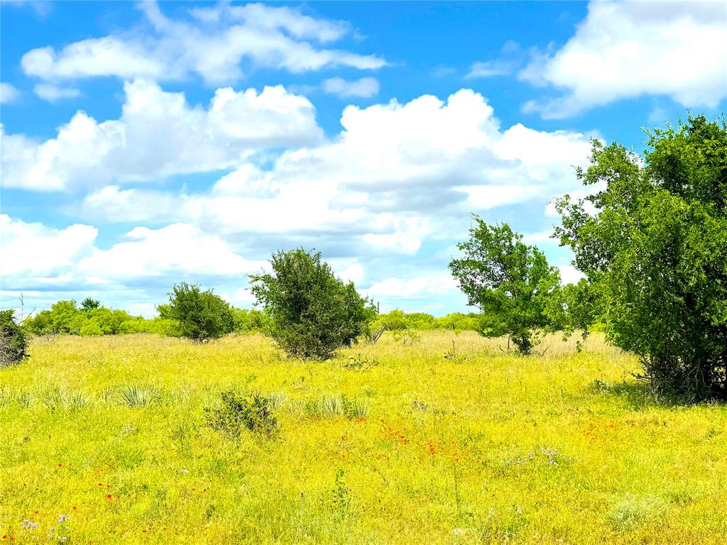 1020 Goodnight Trail - Photo 9