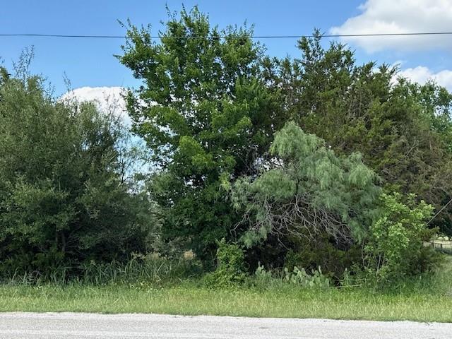 34016 Stonewood Drive - Photo 2