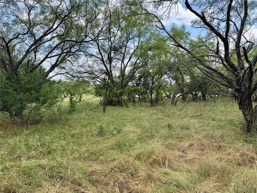 170 Brazos West Drive - Photo 13