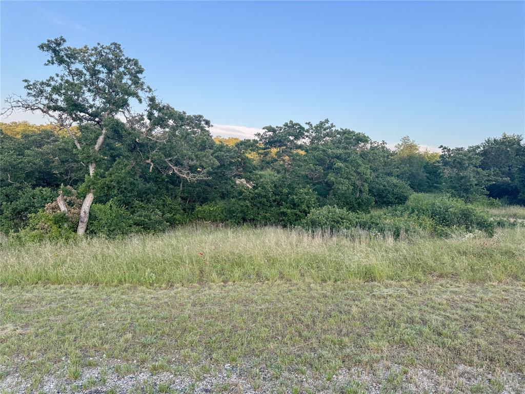 Lot 149 Hidden Shores Drive - Photo 14