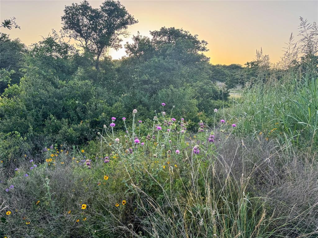 Lot 149 Hidden Shores Drive - Photo 17