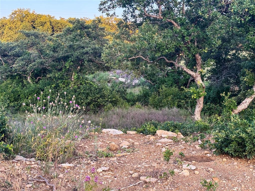 Lot 149 Hidden Shores Drive - Photo 18