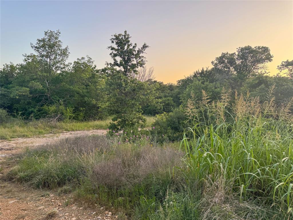 Lot 149 Hidden Shores Drive - Photo 21