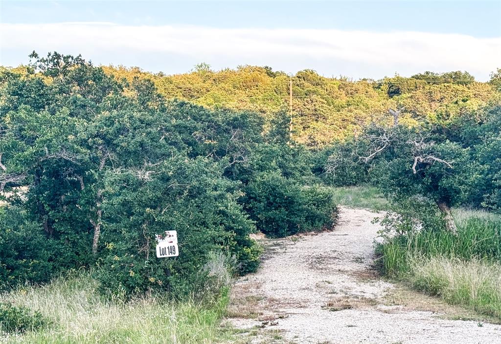 Lot 149 Hidden Shores Drive - Photo 5