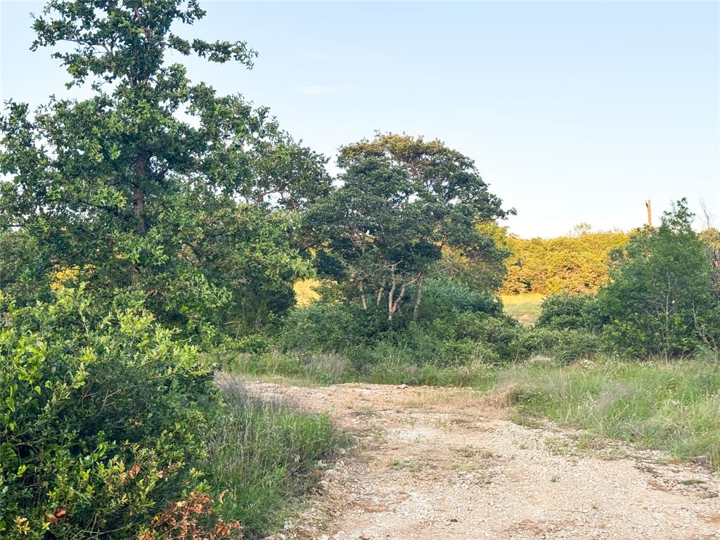 Lot 149 Hidden Shores Drive - Photo 7
