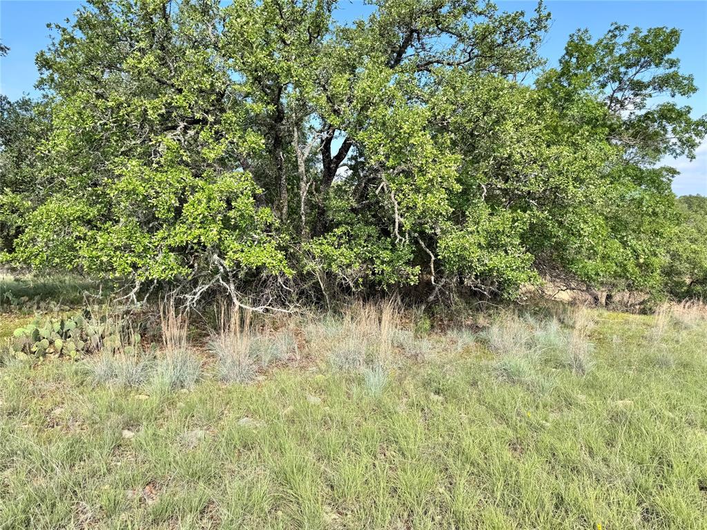 TBD Lot 479 Oak Point Drive - Photo 10