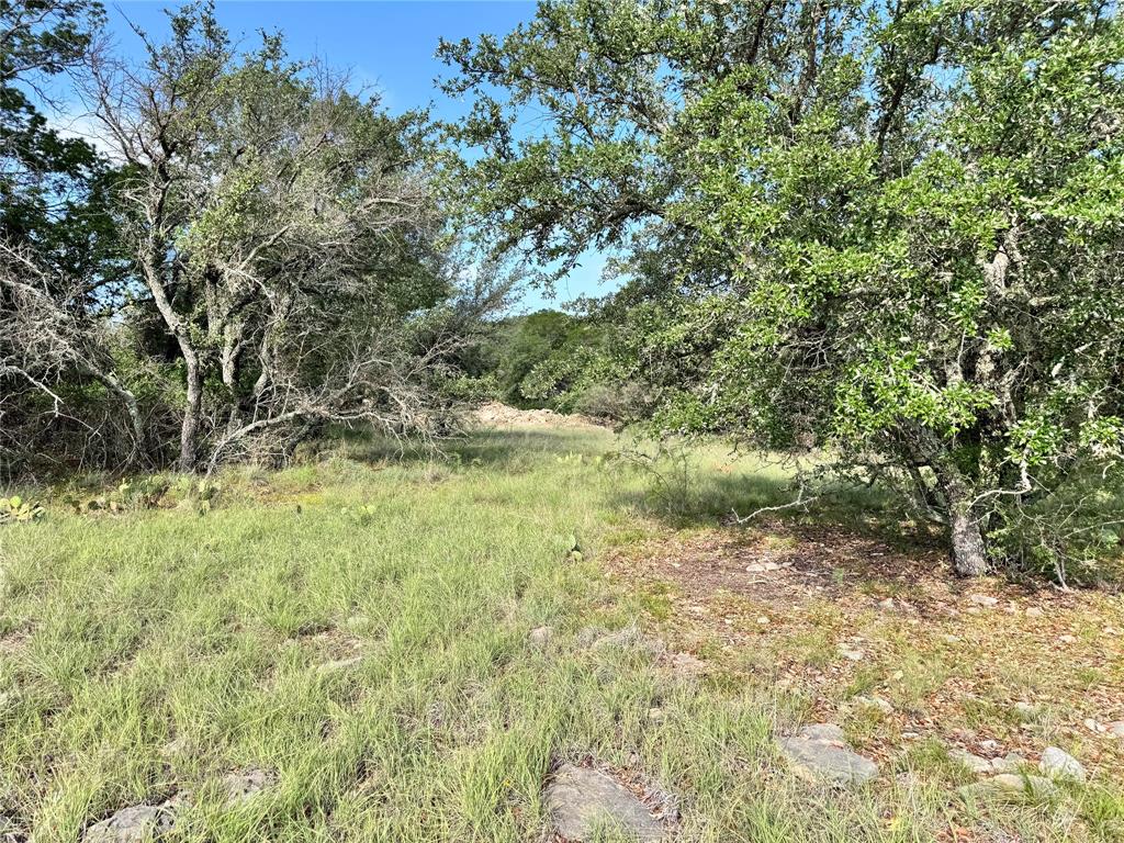 TBD Lot 479 Oak Point Drive - Photo 18