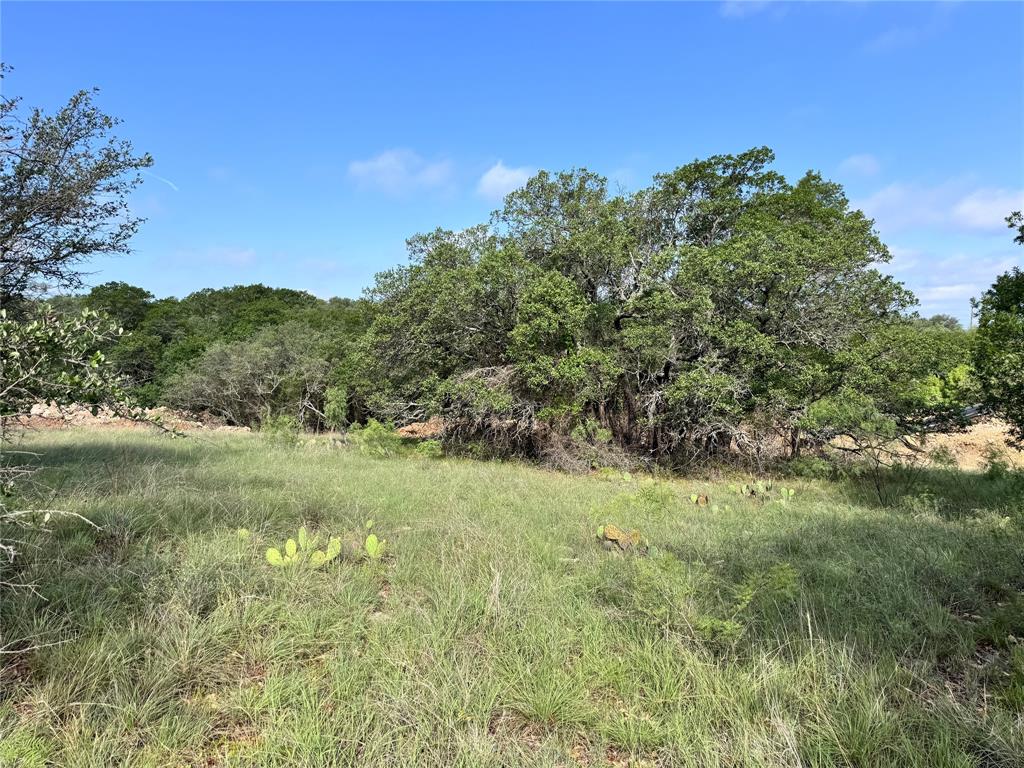TBD Lot 479 Oak Point Drive - Photo 19