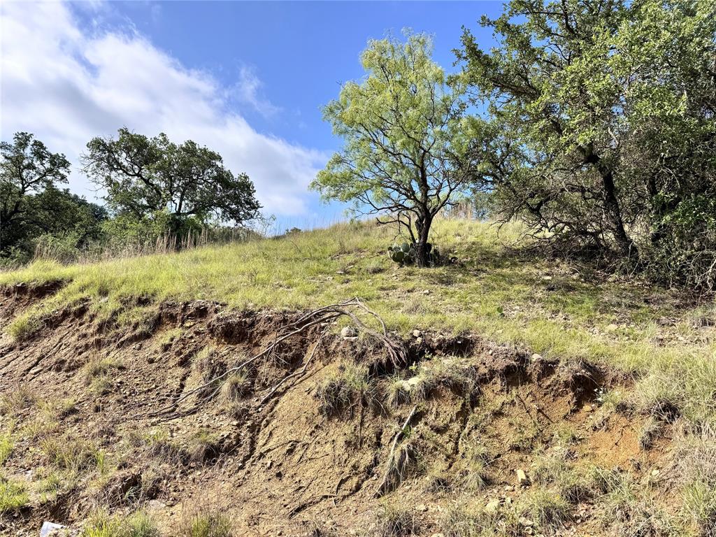 TBD Lot 479 Oak Point Drive - Photo 2