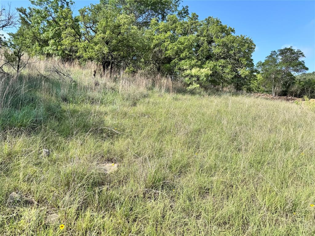 TBD Lot 479 Oak Point Drive - Photo 3
