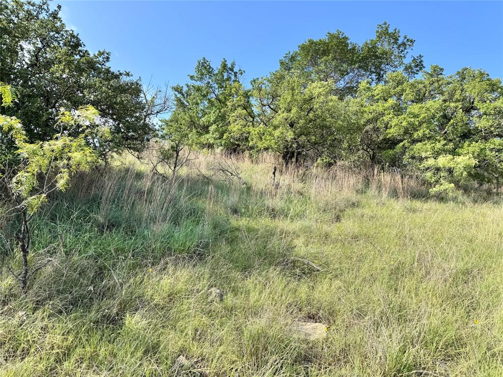 TBD Lot 479 Oak Point Drive - Photo 4