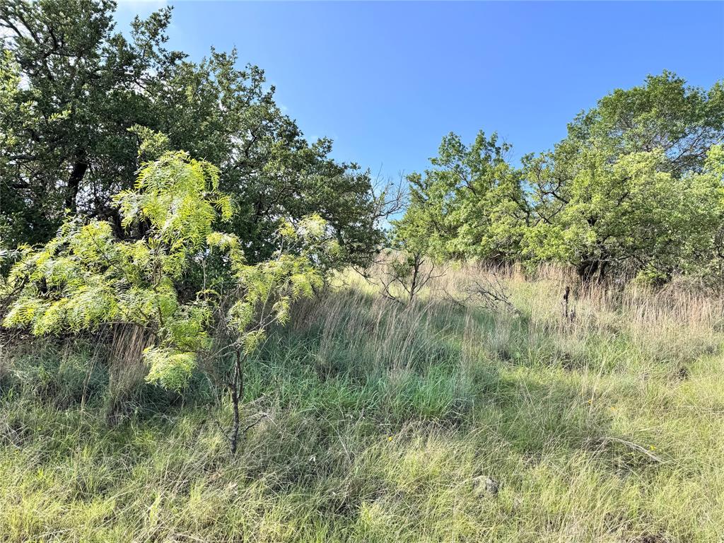 TBD Lot 479 Oak Point Drive - Photo 5