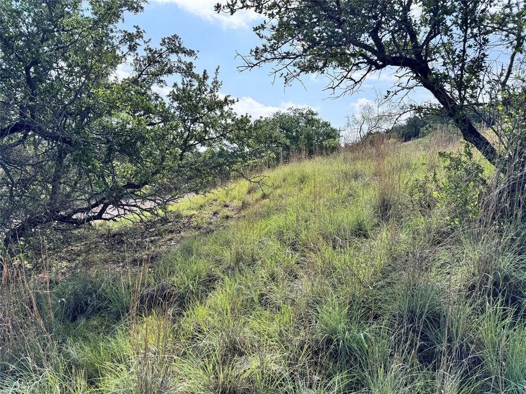 TBD Lot 479 Oak Point Drive - Photo 6