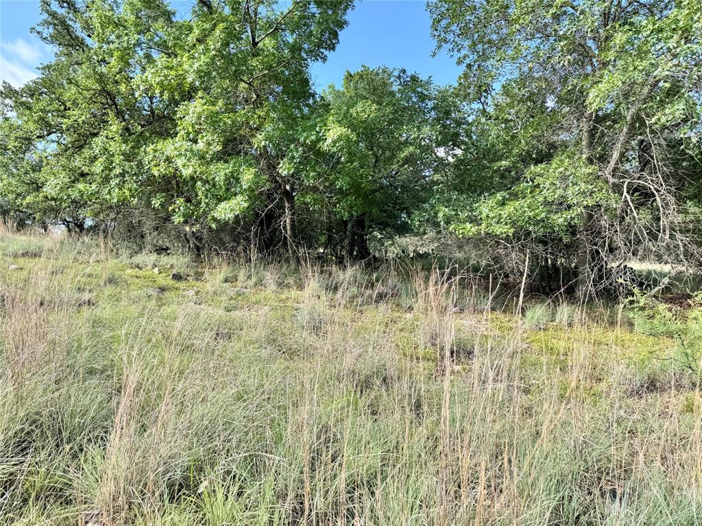 TBD Lot 479 Oak Point Drive - Photo 7