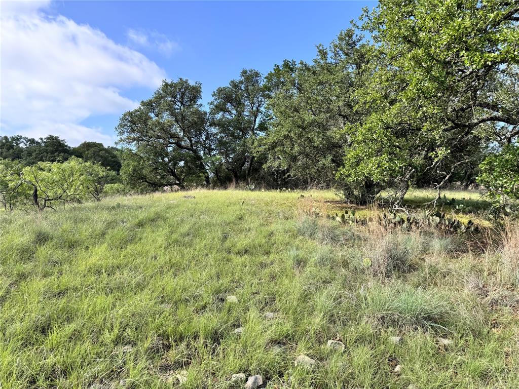 TBD Lot 479 Oak Point Drive - Photo 8