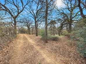 429 S Shady Shores Road - Photo 2