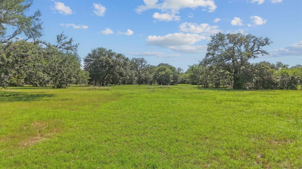 118 W Shady Shores Road - Photo 1