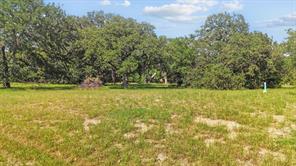 118 W Shady Shores Road - Photo 2