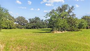 118 W Shady Shores Road - Photo 3