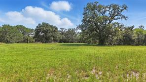 126 W Shady Shores Road - Photo 2