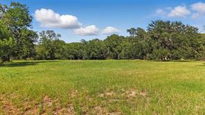 126 W Shady Shores Road - Photo 3