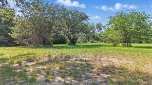 126 W Shady Shores Road - Photo 4