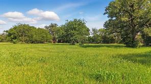200 W Shady Shores Road - Photo 5