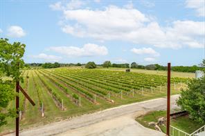 675 County Road 497 - Photo 19