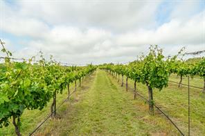 675 County Road 497 - Photo 20