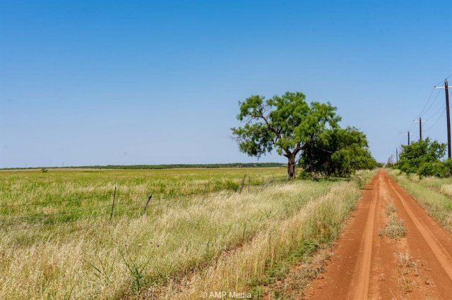 FM 2142 FM 2142