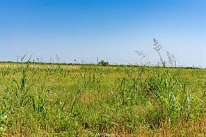 FM 2142 FM 2142 - Photo 14