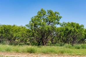 FM 2142 FM 2142 - Photo 2