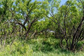 FM 2142 FM 2142 - Photo 9
