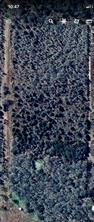 000 County Road 123 - Photo 10