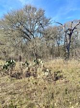 000 County Road 123 - Photo 4
