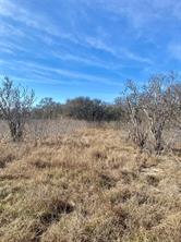 000 County Road 123 - Photo 7