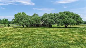 12153 Mustang Road - Photo 13