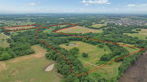 4196 County Road 1001 - Photo 7