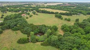 4196 County Road 1001 - Photo 9