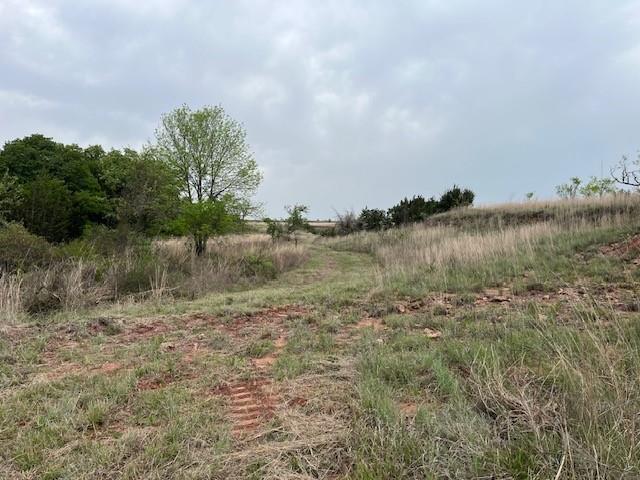 35 AC Two Bush Rd - Photo 1