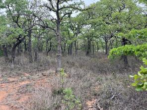 35 AC Two Bush Rd - Photo 3