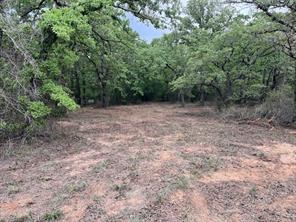 35 AC Two Bush Rd - Photo 4