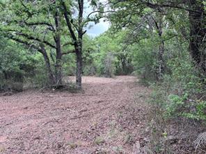 35 AC Two Bush Rd - Photo 5
