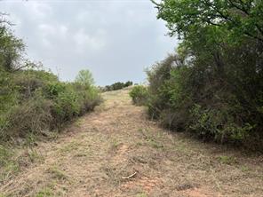 35 AC Two Bush Rd - Photo 7