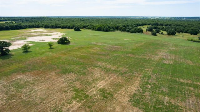 TBD County Road 175