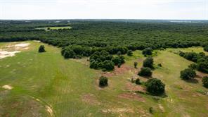 TBD County Road 175 - Photo 12