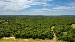TBD County Road 175 - Photo 5